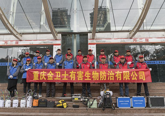 散白蟻侵害現(xiàn)代建筑，如何有效進行白蟻防治處理