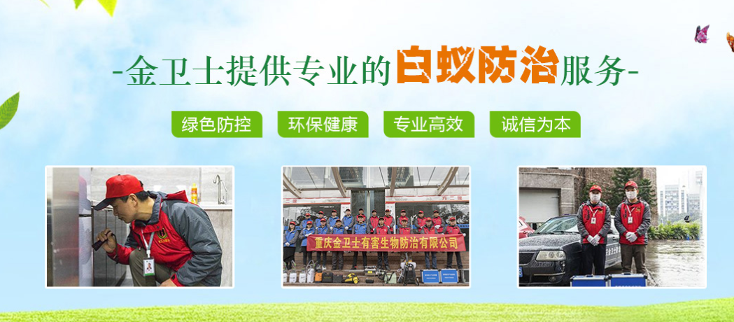 春季3月時期，白蟻消殺工作任重而道遠  ?