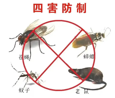 蟑螂怎么消滅？除蟑螂只需做到這3點
